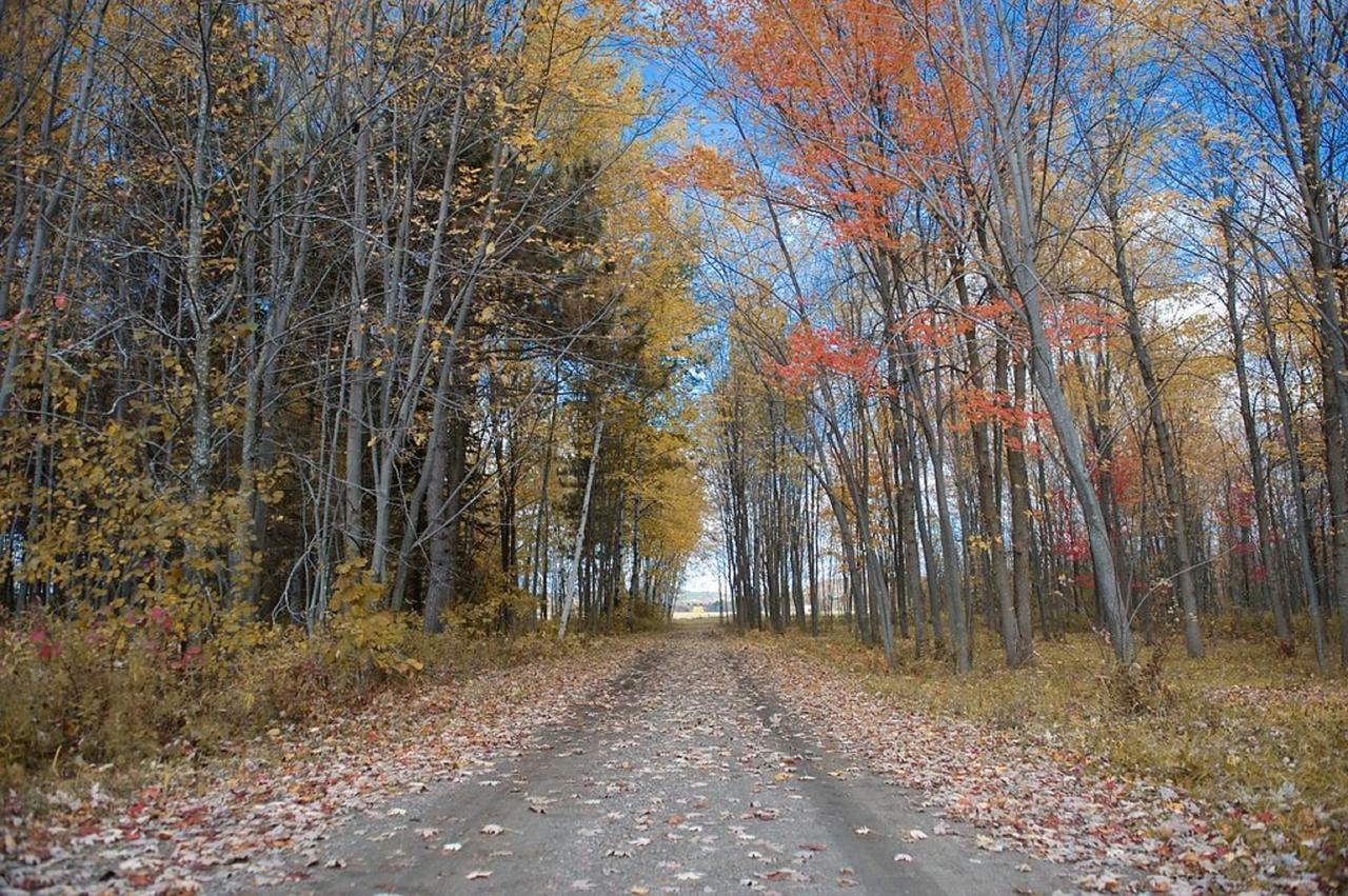 Gite O'bordeleau Luskville Buitenkant foto